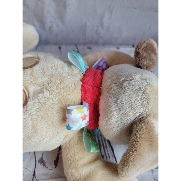 Taggies Buddy Dog Plush Tan Puppy 12" Mary Meyer Stuffed Animal toy Bean Bottom - Picture 5 of 9